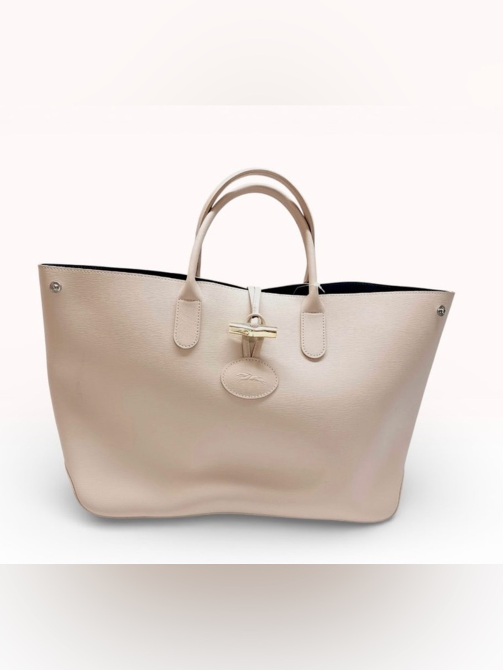 Long champ le roseau in light pink with blue inside.